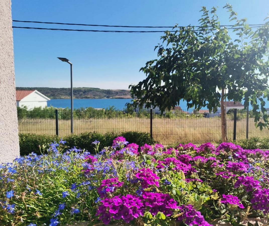 Apartmani Darko Rtina Esterno foto
